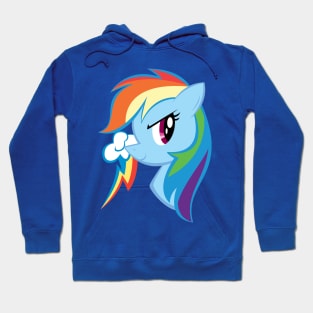 Pony Head: Rainbow Dash Hoodie